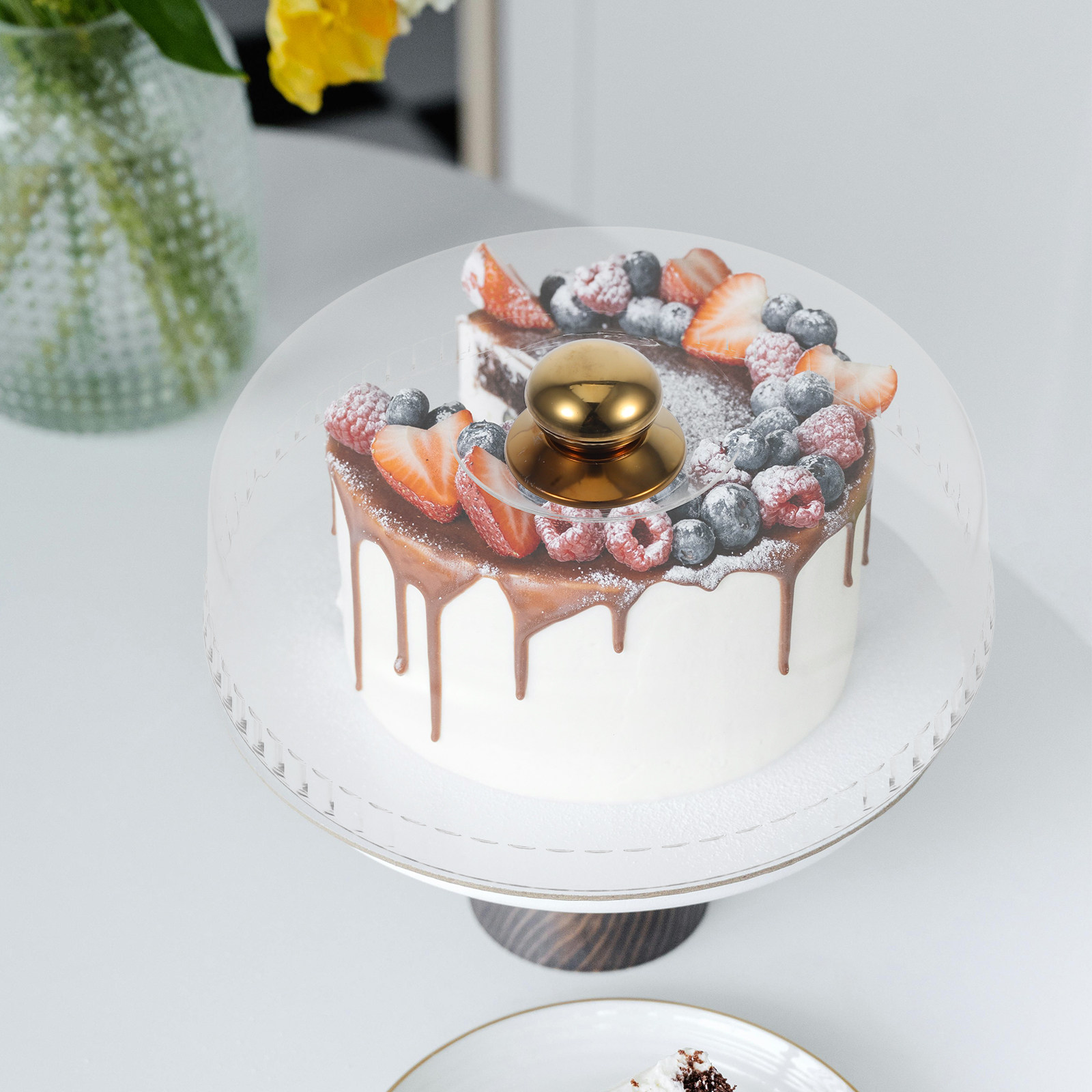 30Cm Round Clear Acrylic Cake  - đánh giá và giá Plastic Dome Clear