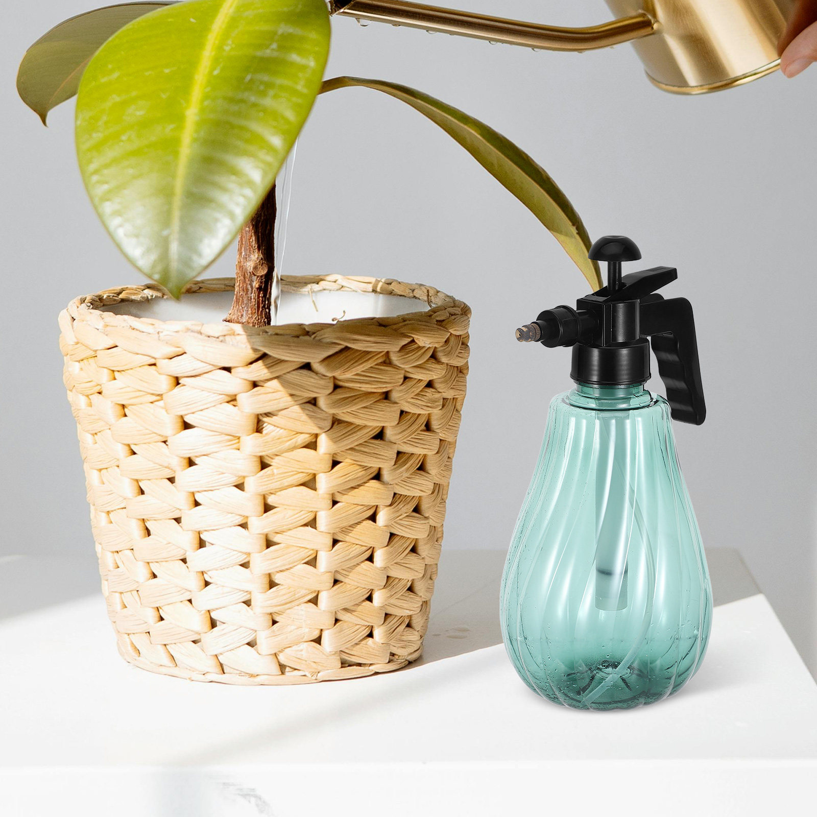 Handheld Pet Bath Sprayer Gree - đánh giá và giá Misting Bottle Fine