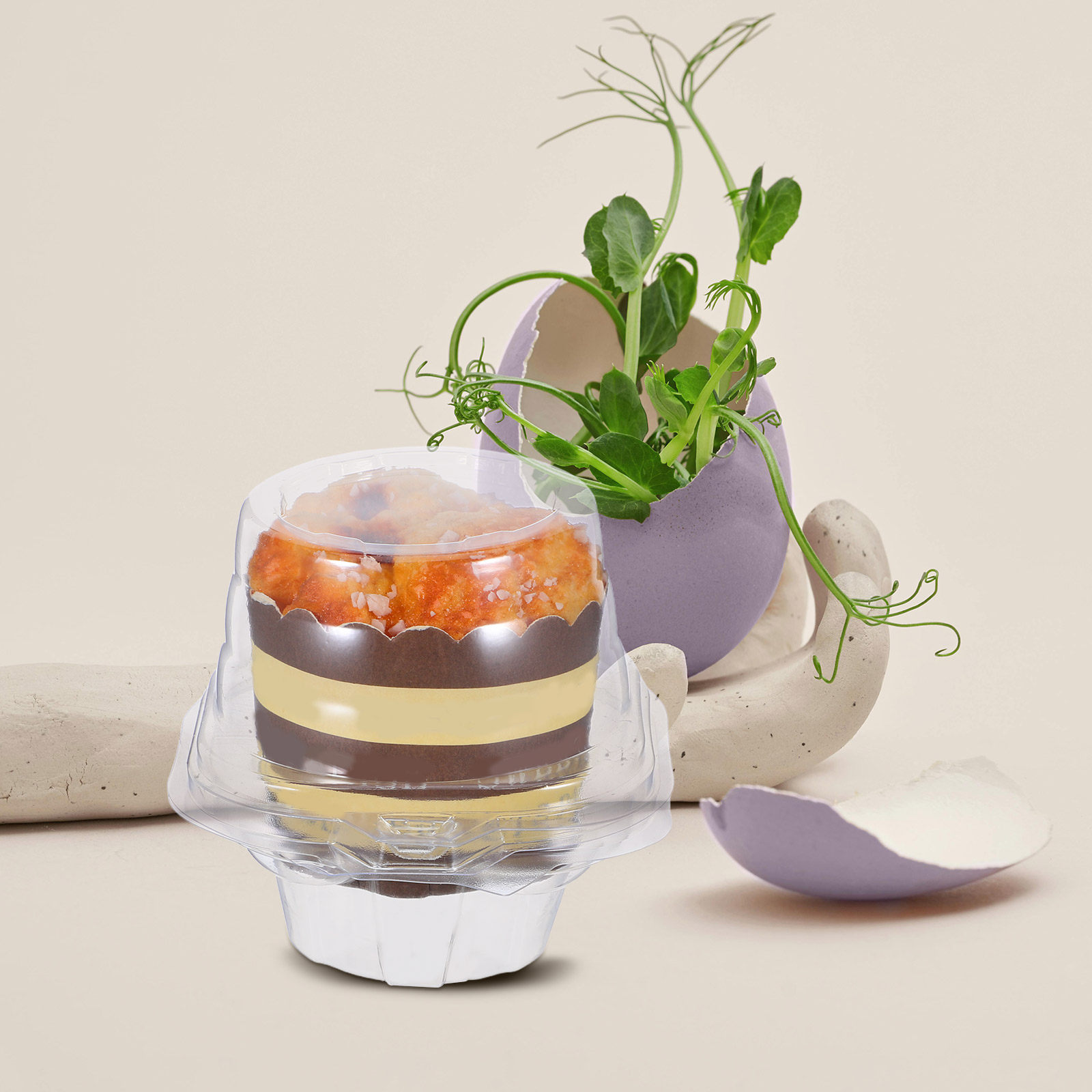 50Pcs Clear Cupcake Containers - đánh giá và giá Plastic Dome Clear